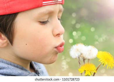 Lovely Little Boy Blowing On A Dandelion. Child Blows In Dandelion Seeds. Close Up Portrait Of Kid Head And Flying Seeds On Green Summer Or Spring Background.