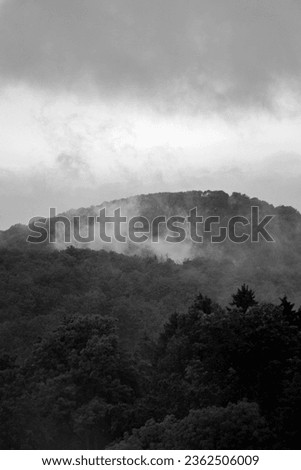 Lovely nature veiled in morning fog in blackwhite version