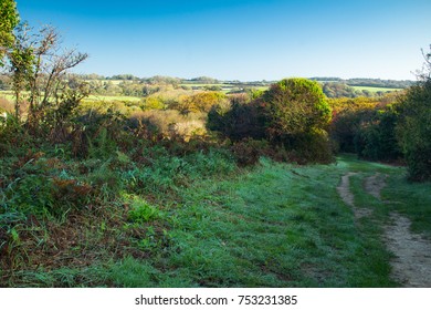 Lovely October Walk Through Hastings Country Park East Sussex