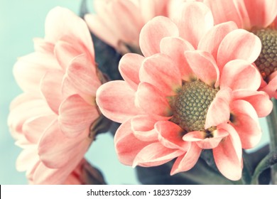 Lovely Pale Pink Flowers In Vintage Style