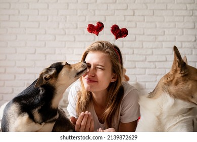 Lovely pet. Young woman with her cute mixed breed dog at home having fun and kissing, funny picture
