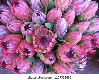 Lovely In Pink Protea Bouquet