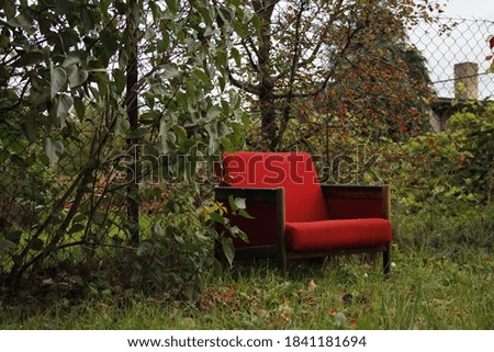 Similar – Image, Stock Photo autumn whisper Garden