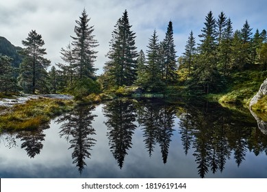 Lovely reflections of fir trees in a lake in Bergen, Norway