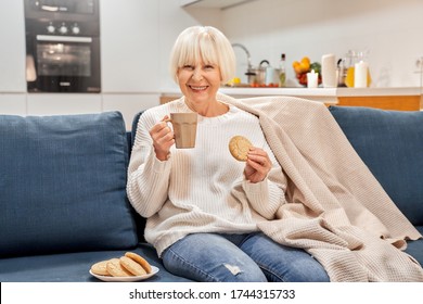 Lovely smiling old aged adult woman eat cookie food cooked according to own family recipe drinks tea, happy looks in camera posing. Delicious baking grandma. Place for text advertising logo copy space