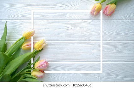 Lovely tulip flowers on white wooden background with frame, holiday postcard for Women's Day or Mother's Day or Sale concept. Floral spring background with copy space. Flat lay.