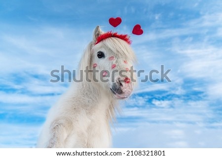 Lovely white pony with red lipstick kiss prints on its face. Horse on valentine's day.