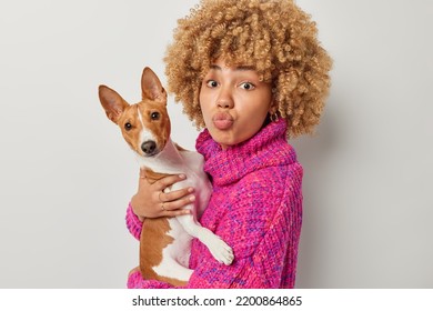 Lovely woman with curly hair holds basenji dog enjoys spending free time with domestic pet have friendly relationships dressed in knitted warm jumper keeps lips folded isolated over grey background - Shutterstock ID 2200864865