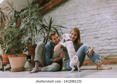 Lovely Young Couple Sitting At Rustic Living Room Floor And Playing With Cute White Dog