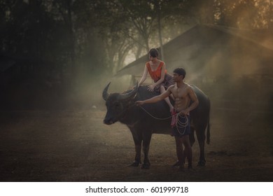 The lover with buffalo.