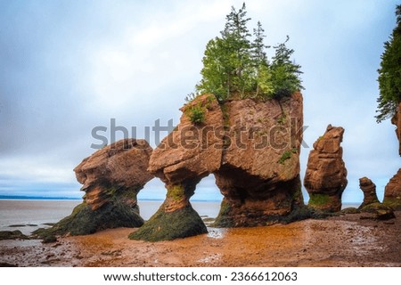 Lovers Arch at low tide, Hopewell Rocks Provincial Park, Bay of Fundy, Hopewell Cape, New Brunswick, Canada. Photo taken in September 2023.