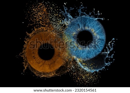 lovers Eyes iris colorful wonders of the human body close-up photo