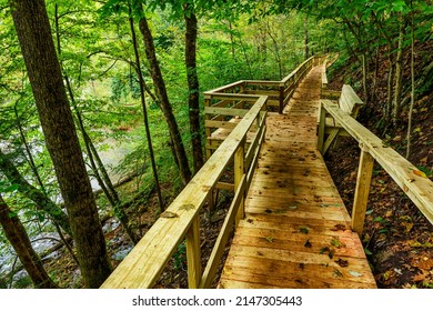 Lover's Lane Boardwalk along the Back Fork of Elk River in Webster County, West Virginia, USA