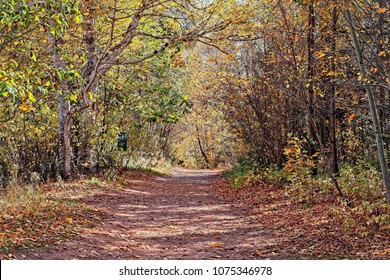 Lovers Lane In Nova Scotia