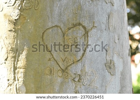 Similar – Image, Stock Photo T loves D Happy Wood Sign