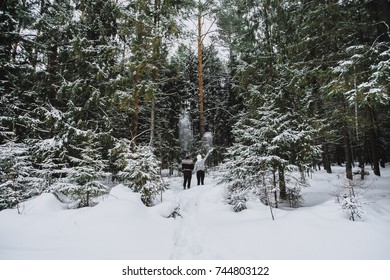 Lovers Walk In The Winter Forest