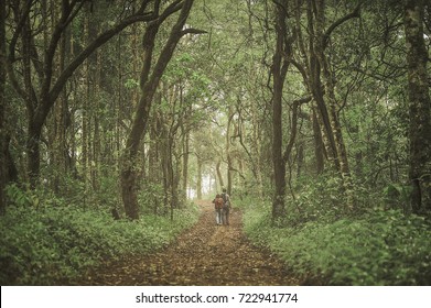 Lovers walking in the forest