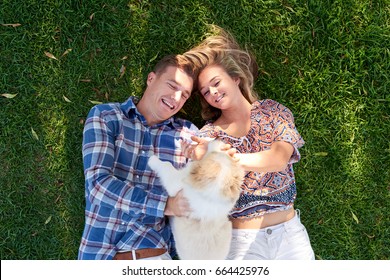 Loving Couple Smiling On Grass Overhead Outdoors Playing With Their Fluffy Dog Pet Puppy