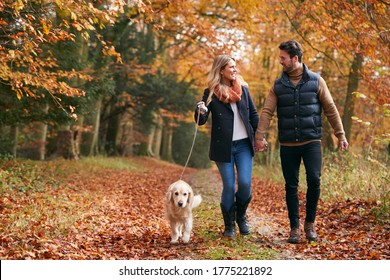 Loving Couple Walking With Pet Golden Retriever Dog Along Autumn Woodland Path Through Trees - Shutterstock ID 1775221892