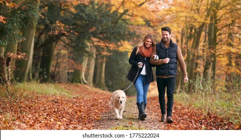 Loving Couple Walking With Pet Golden Retriever Dog Along Autumn Woodland Path Through Trees