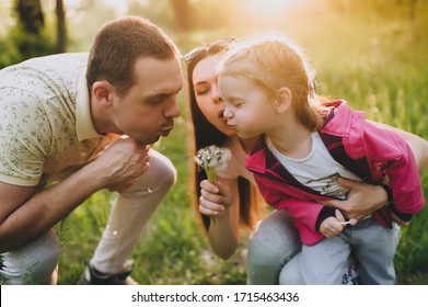 Loving Daughter, Mom And Dad Are Sitting In The Woods In Nature And Holding A Dandelion In Their Hands And Blowing On Flowers At Sunset. Close-up Portrait Of A Happy Family.Concept Of Spring Walking.