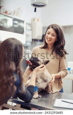 A loving dog receives a thorough check-up and medical attention at the local veterinary clinic, surrounded by attentive veterinary professionals.