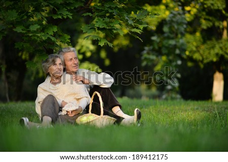 Loving elderly couple having a picnic in the summer