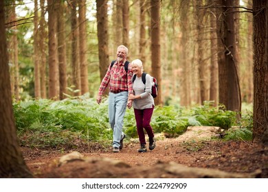 Loving Retired Senior Couple Hiking In Woodland Countryside Together - Powered by Shutterstock