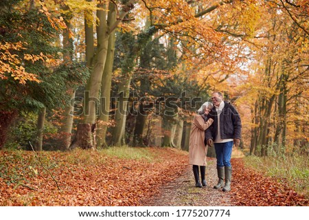 Loving Senior Couple Holding Hands As They Walk Along Autumn Woodland Path Through Trees Together