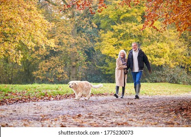 Loving Senior Couple Walking With Pet Golden Retriever Dog Along Autumn Woodland Path Through Trees - Powered by Shutterstock