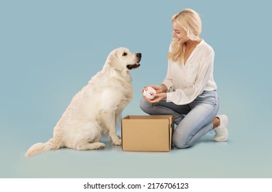 Loving woman playing with her labrador dog holding ball, sitting on the floor and unpacking carton box with pet toys isolated on blue studio background, side view
