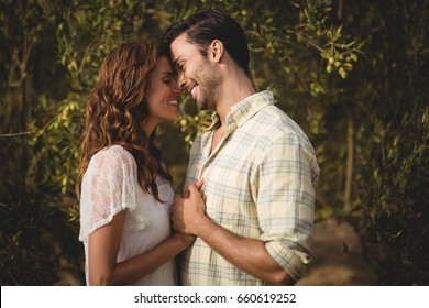 Loving young couple standing by trees at olive farm - Powered by Shutterstock