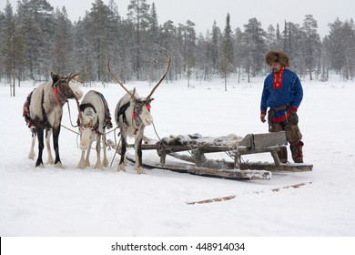 Lovozero, Russia - January 08, 2014, Sami National Costume Near The Reindeer