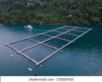 Low Angle Aerial Image Of A Fish Farming Operation.