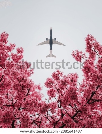 A low angle of an airplane soaring against a bright backdrop of pink blossom flowers