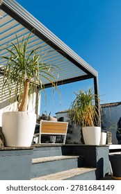 Low angle architectural view of a black aluminum bioclimatic pergola with adjustable white louvers, framed by a palm tree and potted ponytail palms against a clear blue sky. Modern shade structure on a contemporary residential terrace.