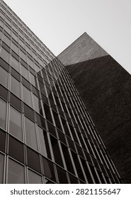 Low angle black and white view of modern office building facade