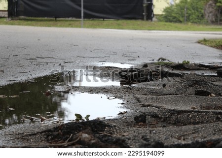 Low angle broken pavement portrait