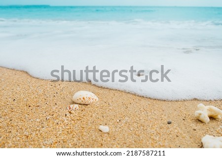 Low angle close up shot of beach waves with some shells