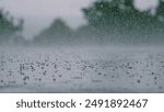 LOW ANGLE, CLOSE UP, DOF: Cinematic shot of hail falling on the asphalt during a heavy tropical rainstorm. Small pellets of ice fall on the wet concrete ground during hailstorm on a gloomy summer day.