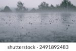 LOW ANGLE, CLOSE UP, DOF: Small pellets of ice fall on the wet concrete ground during hailstorm on a gloomy summer day. Cinematic shot of hail falling on the asphalt during a heavy tropical rainstorm.