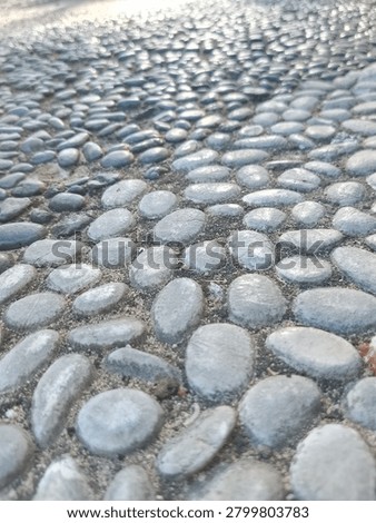 Low Angle Close-Up of Cobblestone Pathway in Blurred Park Background 2