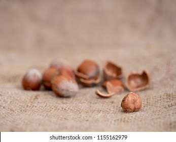 Low angle closeup of hazelnuts on hessian, jute. Differential focus for blurry background effect and copyspace.