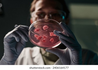 Low angle closeup of petri dish with pieces of meat in hands of young female scientist examining it - Powered by Shutterstock