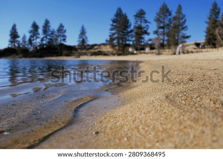  Low angle close-up of a pristine sandy beach shoreline on a calm lake with evergreen pine trees under a clear blue sky.