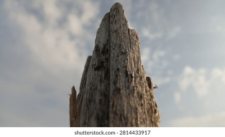 Low angle close-up of a sharp, weathered wooden post or dry tree stump against a cloudy blue sky background.