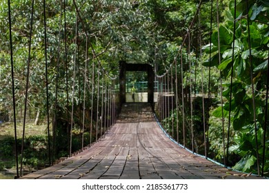 Low Angle And Diminishing Perspective View Of Suspension Cable Pedestrian Bridge And Wooden Floor Cross River In The Forest. 