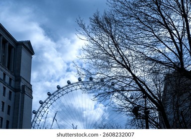  A low angle, emphasising the scale of the structure against a backdrop of cloudy sky and the silhouette of bare trees. The London Eye is one of London's most popular tourist attractions.
