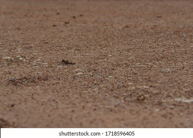 Low Angle Of Flat Sandy Ground