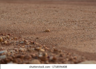 Low Angle Of Flat Sandy Ground